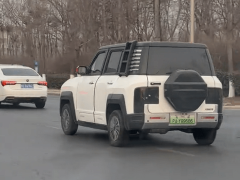 老头乐“疯狂”上路，尺寸赶超机动车，竟还模仿国产百万豪车？
