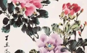 邵仲节牡丹国画集锦，国色天香展现富贵春意！