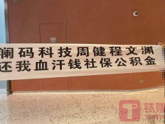 上海澜码科技陷困境，员工停薪数月，创始人周健：正积极自救寻并购