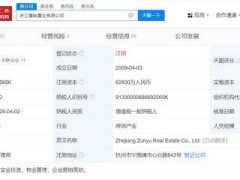 网红大楼丽晶国际背后的开发商，浙江尊峪置业已悄然注销