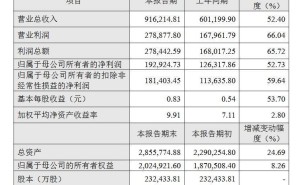 海光信息2024年业绩亮眼：净利润近20亿，增速超五成
