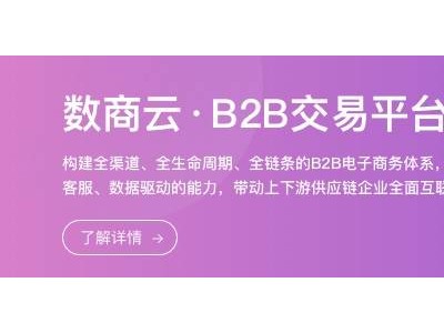 B2B电商数字化转型新纪元：五大策略解锁万亿市场潜能