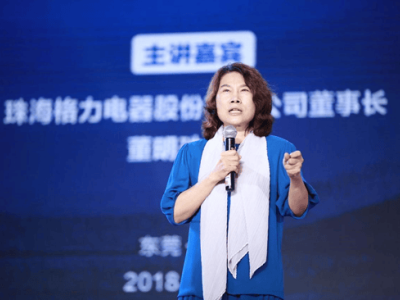董明珠IP入门店招牌遭质疑 格力回应：品牌属格力，非个人资产