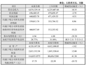 传音控股2024业绩揭晓：营收687亿，非洲之王稳健前行