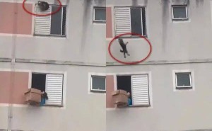 女邻居秒变超级英雄，纸箱接住高楼坠落狗狗！
