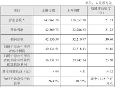 合合信息2024年财报亮点：营收突破14亿，净利润增长24%！