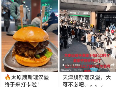 魏家凉皮跨界狂潮：餐饮小米版图再扩张，新品牌能否站稳脚跟？