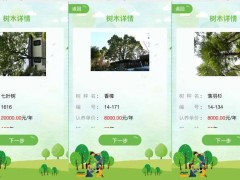 独居青年崛起，七大新兴赛道解锁独居经济新密码