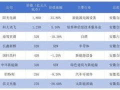 合肥五企闪耀2024胡润中国500强榜单，新能源科技成亮点！