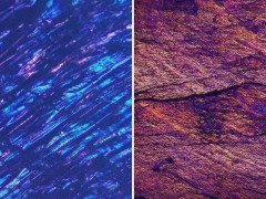 中欣新碳A轮融资成功，高性能中间相沥青制备技术取得突破