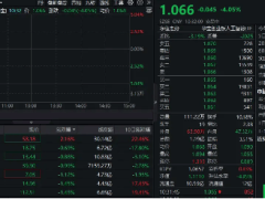 CPO概念股集体回调，DeepSeek热潮下AI需求能否助其反弹？