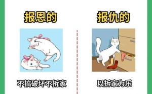 你家猫咪是“小天使”还是“小恶魔”？报恩猫与报仇猫大不同！