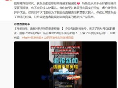 特斯拉陶琳发声：从不花钱买好评，呼吁消费者看到全面真实的产品信息