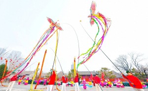 春回大地龙抬头，北京城市副中心舞龙大会盛况空前！