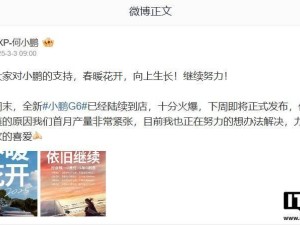 小鵬G6下周發布，首月產量告急，全新升級能否緩解供應壓力？