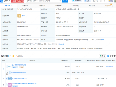 金开新能携手旗下公司，新设能源科技公司布局电力业务