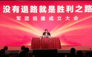 华为医疗卫生军团成立，特种部队模式能否再创新辉煌？