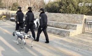 北京经开区新一代巡逻体系亮相：机器犬与无人车携手守护安全