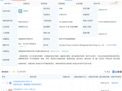 新集能源携手共创新公司，涉足储能技术服务领域