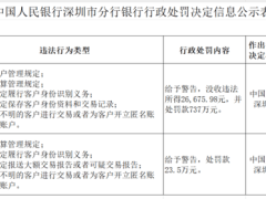 盛迪嘉支付违规遭重罚737万，总经理个人被罚23.5万