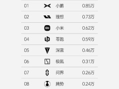 2025年第10周销量排行：小鹏领跑新势力，特斯拉重夺豪华榜首？