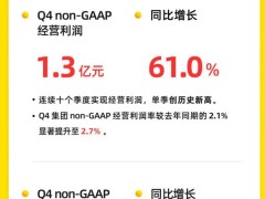 万物新生2024年营收大增，non-GAAP经营利润涨六成，年度首现GAAP经营盈利