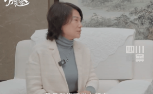 董明珠揭秘格力造车进度：持续进行中，专注非乘用车领域