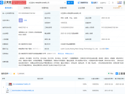 科陆电子全资控股新能源公司，涉足碳减排与蓄电池租赁等领域