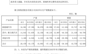 赛力斯2月销量下滑近四成，问界M9成亮点累计同比大增243.89%