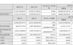 天马微电子2024年净亏损6.69亿，同比大幅减亏超14亿，业绩回暖