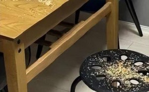 调皮猫咪闯祸后秒变“胆小鬼”，躲爸爸怀里求安慰：我不是故意的！