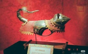 中世纪小猫盔甲惊艳亮相，连老鼠都有同款？网友直呼太可爱了！