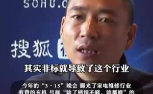 啄木鸟连续两年315“上榜”，王国伟创业路获姚劲波、雷军支持何去何从？