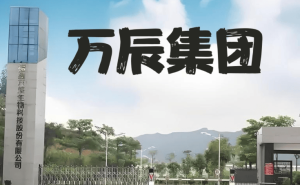 万辰集团董事长被留置，旗下“好想来”零食品牌母公司市值蒸发23.8亿
