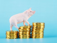 牧原股份2024年盈利大增，定目标：今年降负债100亿，光伏发电突破2亿度