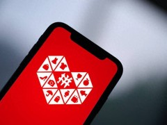 拼多多2024财报亮眼，陈磊：深化高质量发展战略，构建共赢生态