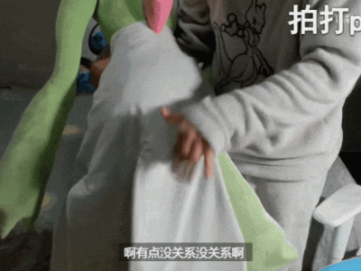 宝可梦等身玩偶质量引争议，消费者直呼“立不起来了”！
