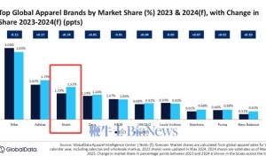2024全球服装市场风云：Shein领跑，奢侈品牌命运各异