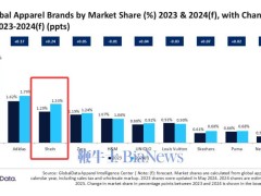 2024全球服装市场风云：Shein领跑，奢侈品牌命运各异