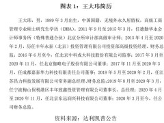 达利凯普高层大换血，资本掌舵下的技术派出局与未来豪赌