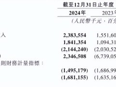 地平线2024年业绩大增，智能驾驶解决方案全年交付近300万套