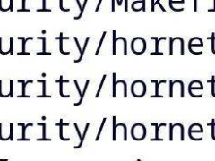 微软开源Hornet模块，为Linux内核eBPF安全加码
