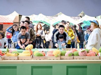 春日奇遇！大学路心动小镇×科技市集浪漫启幕