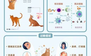 洛卫家：科技护航，让猫毛过敏不再成为爱宠障碍