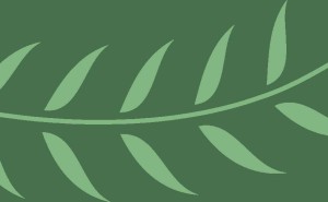 小象宝宝欢乐时光：小小露与小小白在活动场的温馨互动
