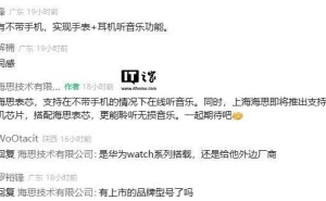 上海海思新耳机芯片曝光：将支持星闪技术，无损音乐新体验？