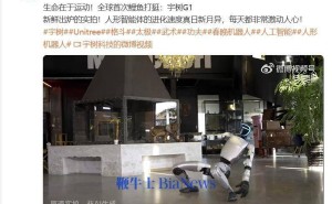 宇树科技王兴兴：家用人形机器人上市，还需等待数年？
