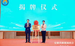 安徽新能源商会启航，中环新能源余竹云领航新能源绿色发展