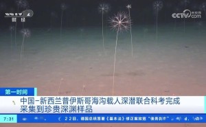 中国-新西兰科考队深海探险，75小时5潜创纪录，发现众多新物种