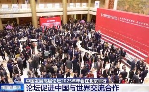 中国发展高层论坛：外企CEO热议中国市场，计划加大研发投入